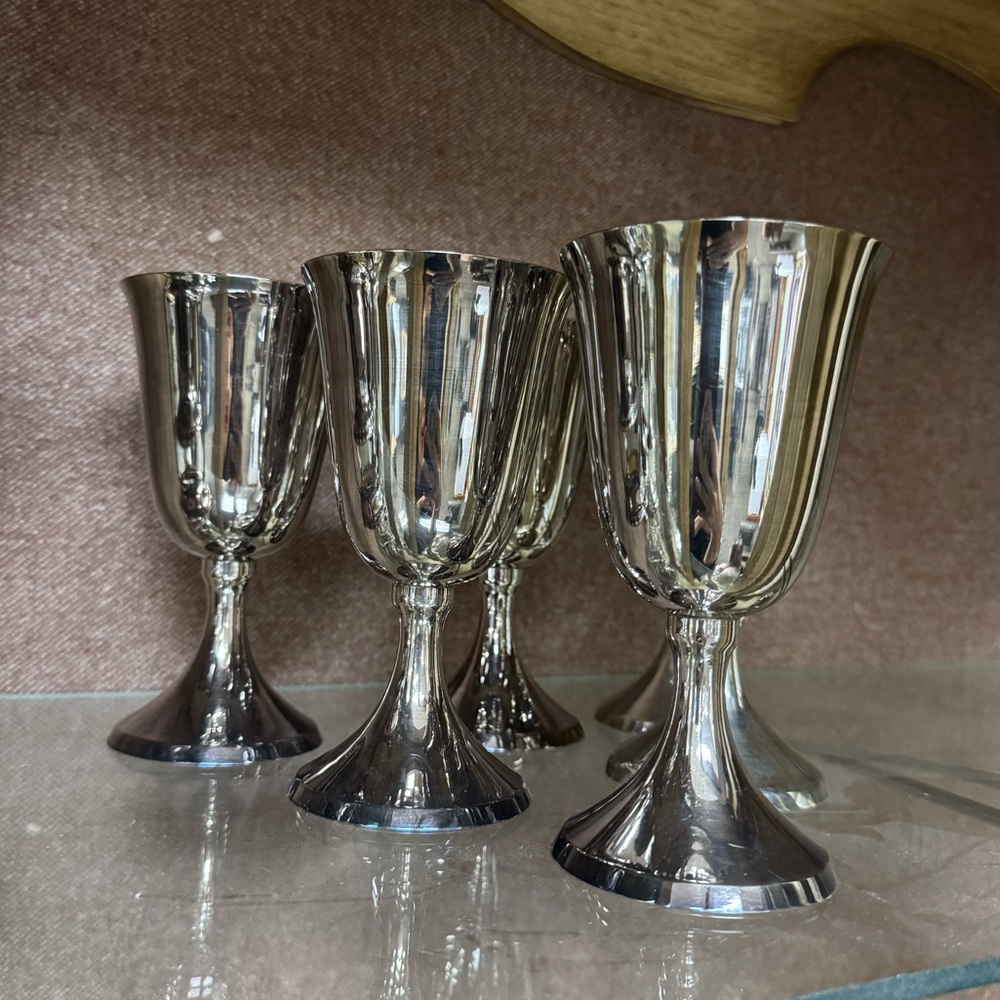 Elegant Silver Goblet Set